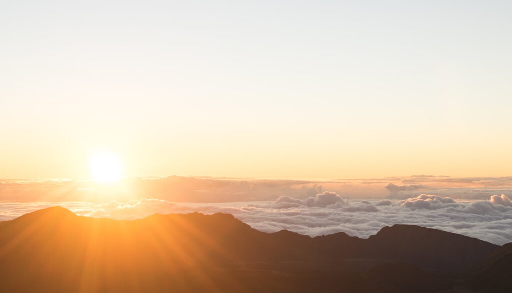 天然食品めぐる